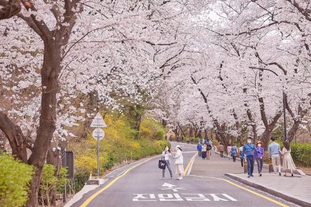 Tour du lịch Hàn Quốc 4 ngày 4 đêm giá tốt nhất tại Vinagroup Travel